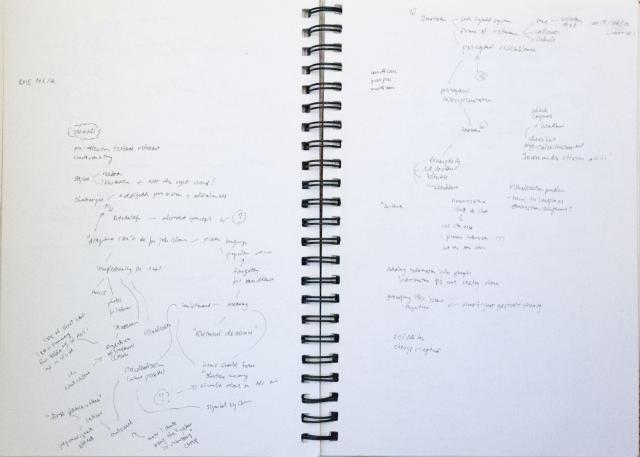 (My handwritten notes for the session “How and What to Edit in Visuals Accompanying Text”)